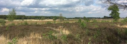 Subsidie aan Golfbaan Goirle voor natuurherstel Regte Heide en Riels Laag