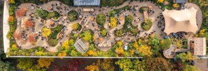Jungle-achtige daktuin Inspyrium wint Rooftop Award