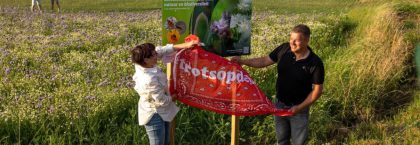 Bloemenstroken slaan brug tussen boer en burger in Oss
