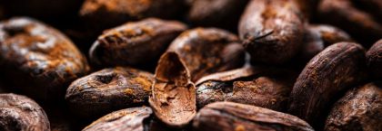 IDH uit Utrecht en Conseil du Café-Cacao lanceren Cocoaperation