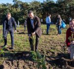 Werknemers Ordina planten 25.000 bomen