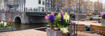 Meer 24-uursvergunningen verleend aan Amsterdamse horeca