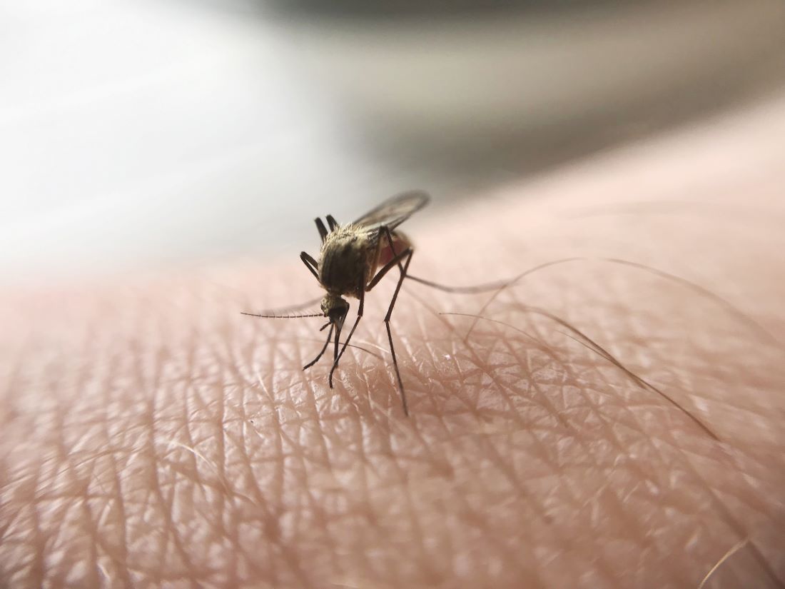 Nieuw onderzoeksmiddel bescherming malaria