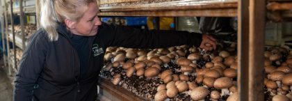 Boeren en tuinders maken werk van paddenstoelen