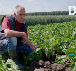Flevolandse akkerbouwer Gert-Jan van Dongen; 'De kwetsbaarheid van de grond wordt groter'