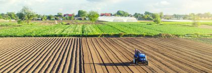 € 3 miljoen subsidie voor innovatieve samenwerkingsprojecten landbouw