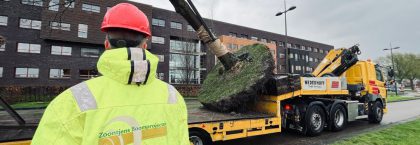 Zoontjens Boomprojecten viert vierdaagse werkweek sinds 2018