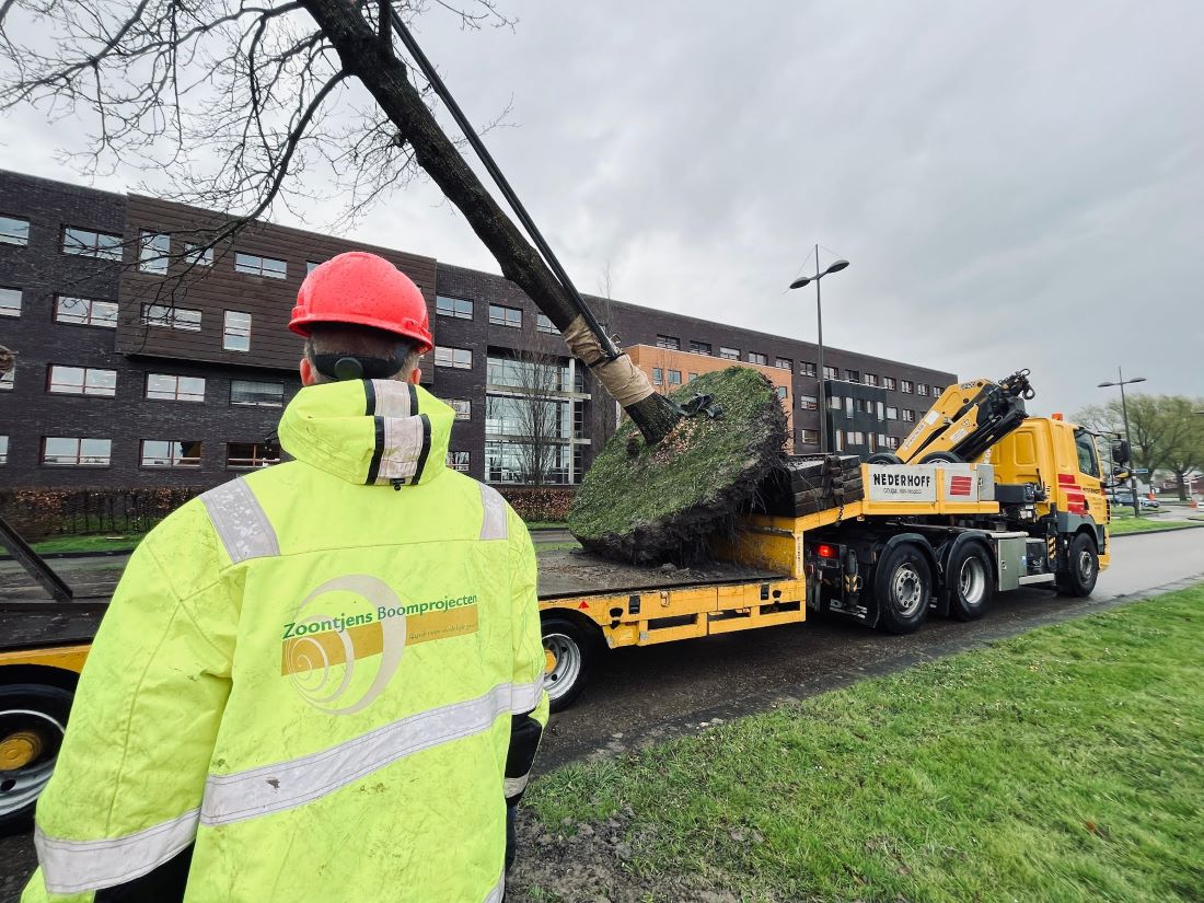 Zoontjens Boomprojecten viert vierdaagse werkweek sinds 2018