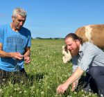 Gemeente Opmeer steunt initiatief voor meer kruidenrijk grasland