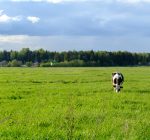 P10 wil doorwerken aan vitaal platteland