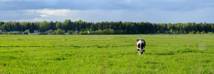 P10 wil doorwerken aan vitaal platteland